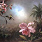 Paul Kelly Fine Art